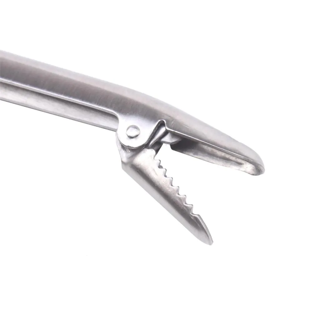 SANLIKE Edelstahl Angeln Lip G – Fishing Hook Remover Bewertung und Preis